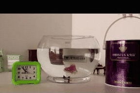 水利萬(wàn)物而不爭(zhēng) 水電工程監(jiān)理的智慧與擔(dān)當(dāng)