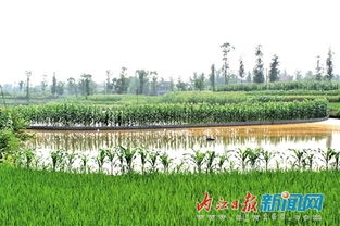 普潤(rùn)?quán)l(xiāng)蔡家店村 水利設(shè)施改善助力村民發(fā)展水產(chǎn)養(yǎng)殖