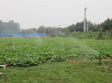 水利部產(chǎn)品質(zhì)量監(jiān)督總站與中國(guó)水利企業(yè)協(xié)會(huì)機(jī)械分會(huì)的角色及其對(duì)水利機(jī)械產(chǎn)業(yè)發(fā)展的影響